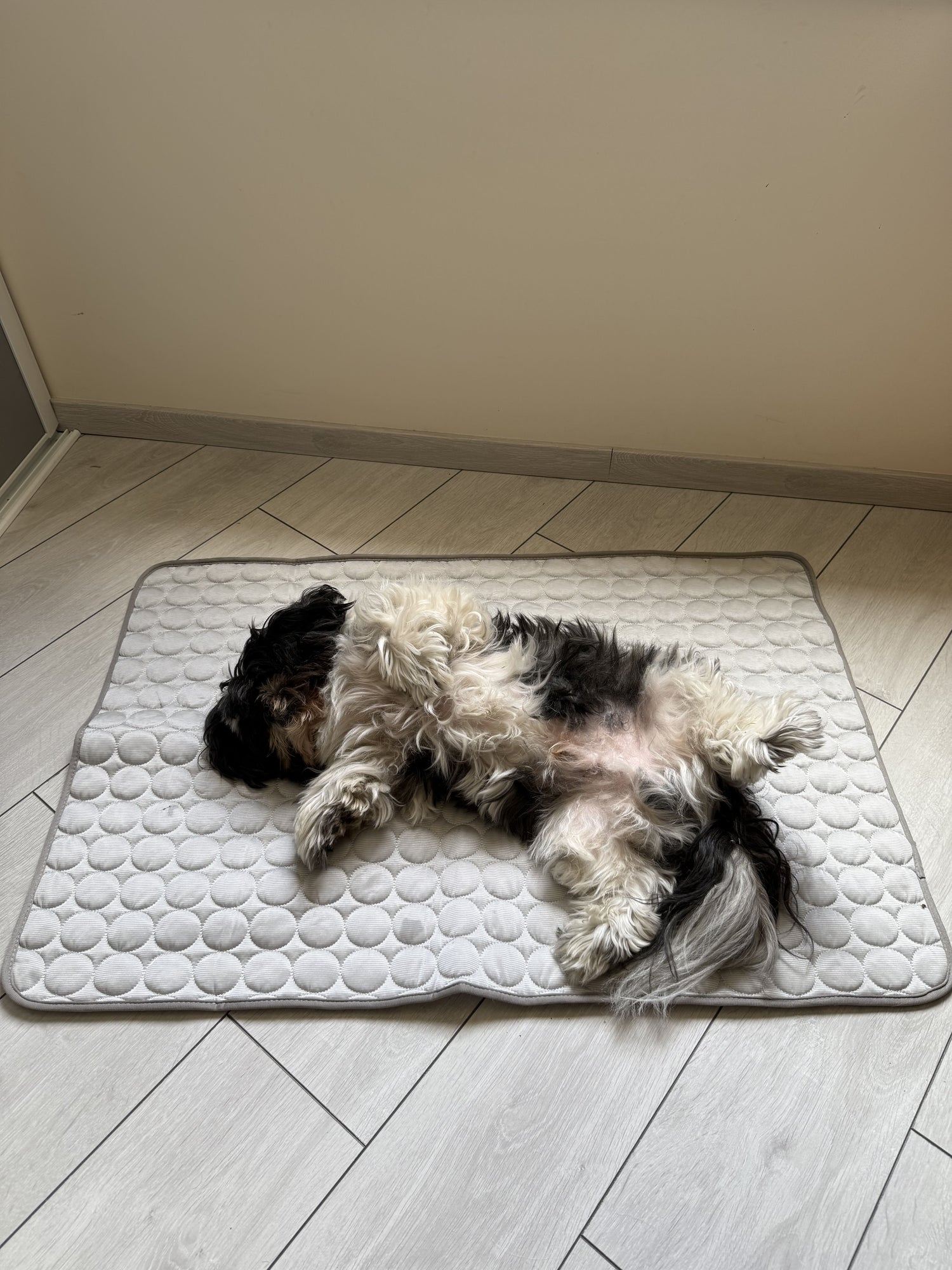 Tapis rafraichissant 